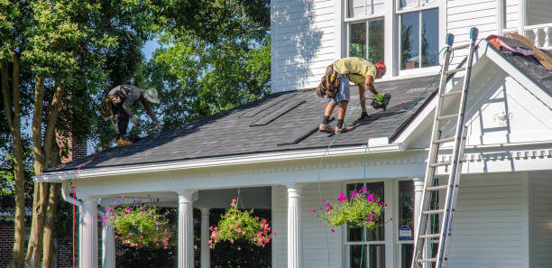 Best Roof Gutter Cleaning  in Bridgetown, MS